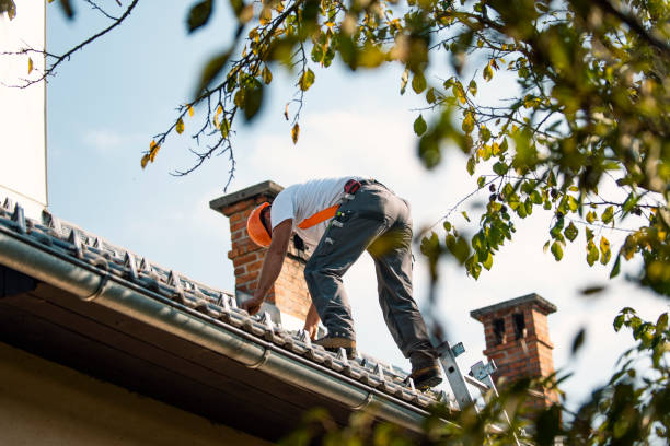 Best Roof Gutter Cleaning  in Spruce Pine, NC